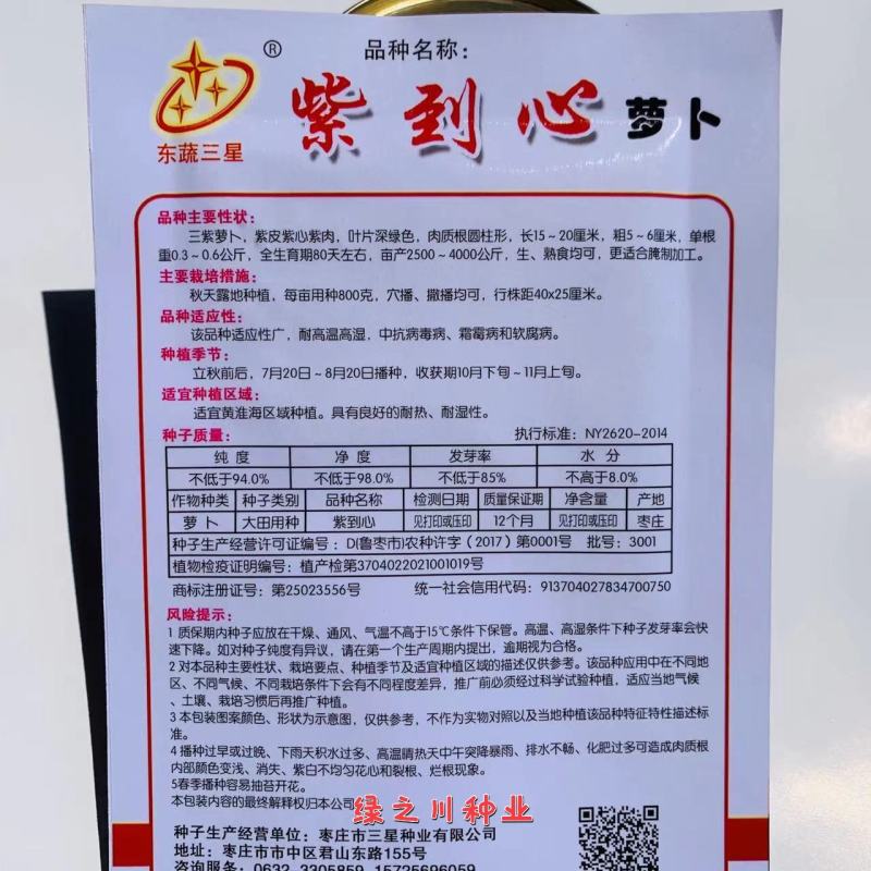 紫到心萝卜种子三紫萝卜，紫皮紫心紫肉萝卜种子更适合腌制