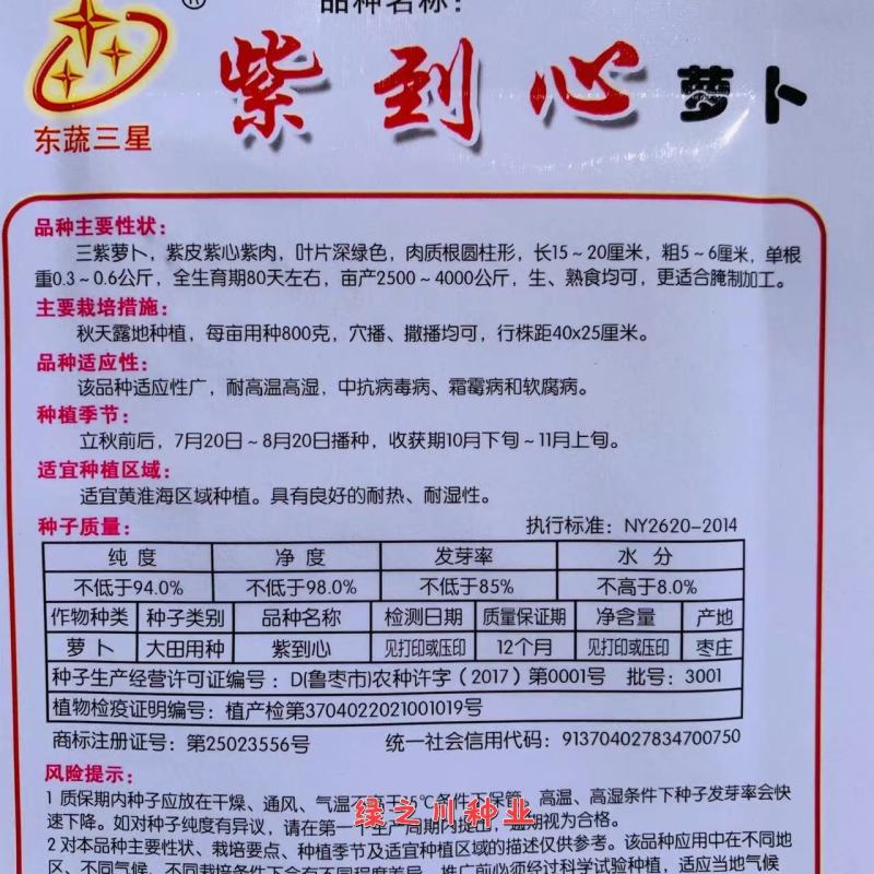 紫到心萝卜种子三紫萝卜，紫皮紫心紫肉萝卜种子更适合腌制