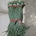 抚宁豇豆大量上市，条长，色正，直流，无虫眼，欢迎选购