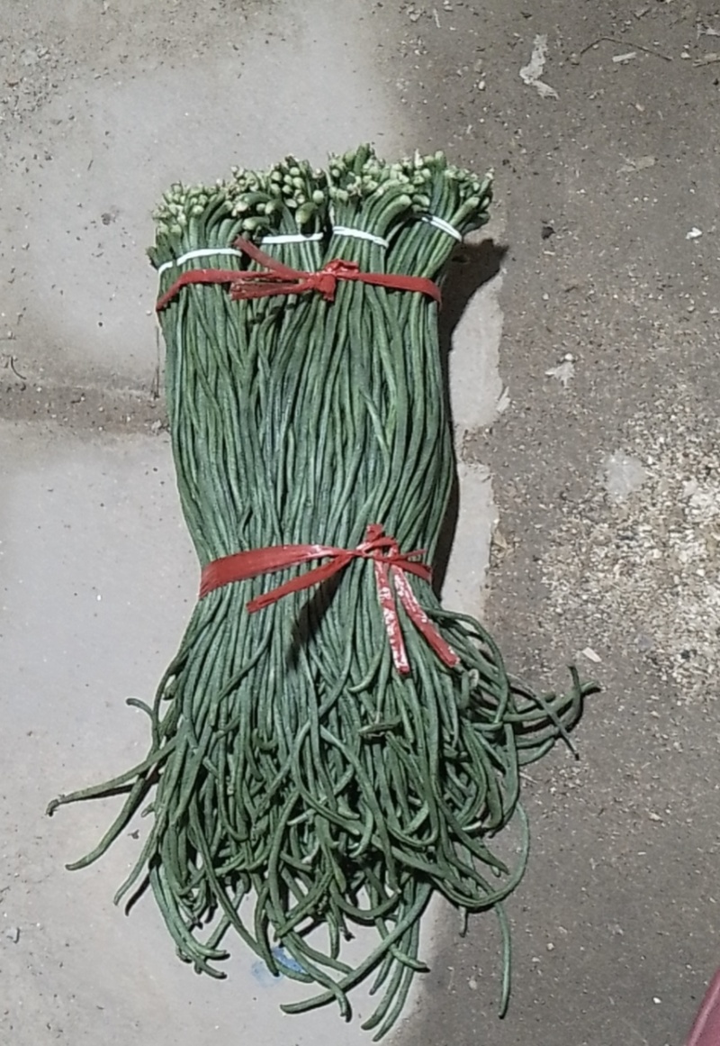 抚宁豇豆大量上市，条长，色正，直流，无虫眼，欢迎选购