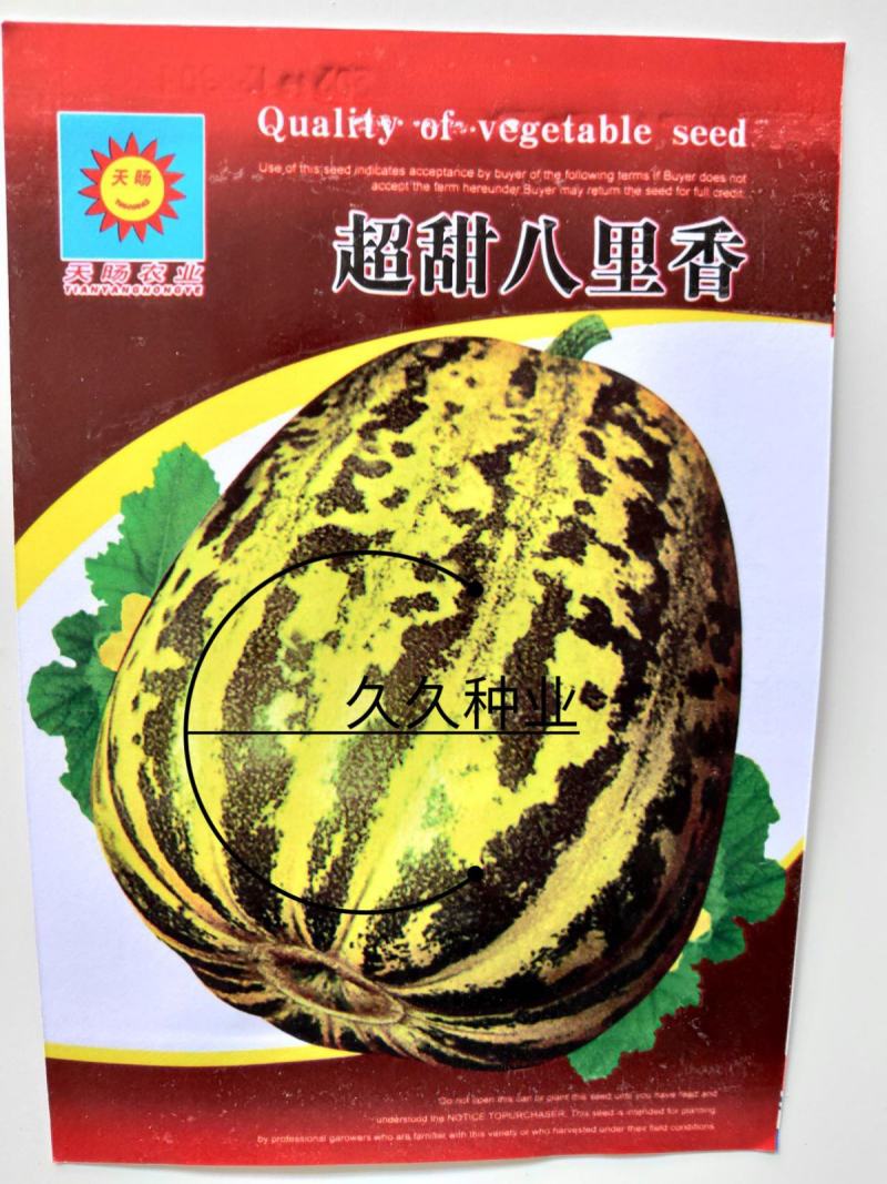 八里香甜瓜种子中早熟蔬菜瓜果种子籽香味浓特甜蜜瓜小院家庭