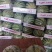 湖北西瓜供货中，个大皮薄，瓤红味甜，价格优惠！