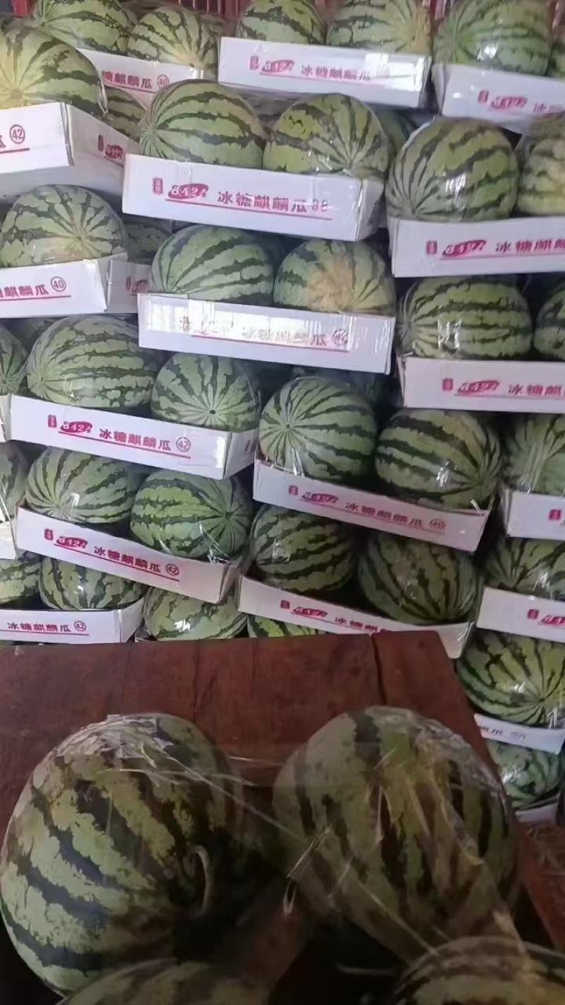 湖北西瓜供货中，个大皮薄，瓤红味甜，价格优惠！