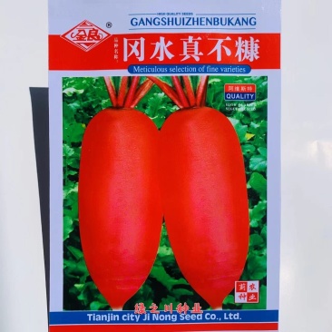 冈水真不糠萝卜种子口感脆甜可做水果食用红皮萝卜种子春秋