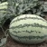 沙漠蜜宝西瓜：沙地优质10斤打底，头一茬：全国接单：现货