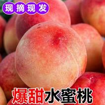 水蜜桃水果新鲜现摘红心桃子当季毛桃整箱脆桃应季水蜜
