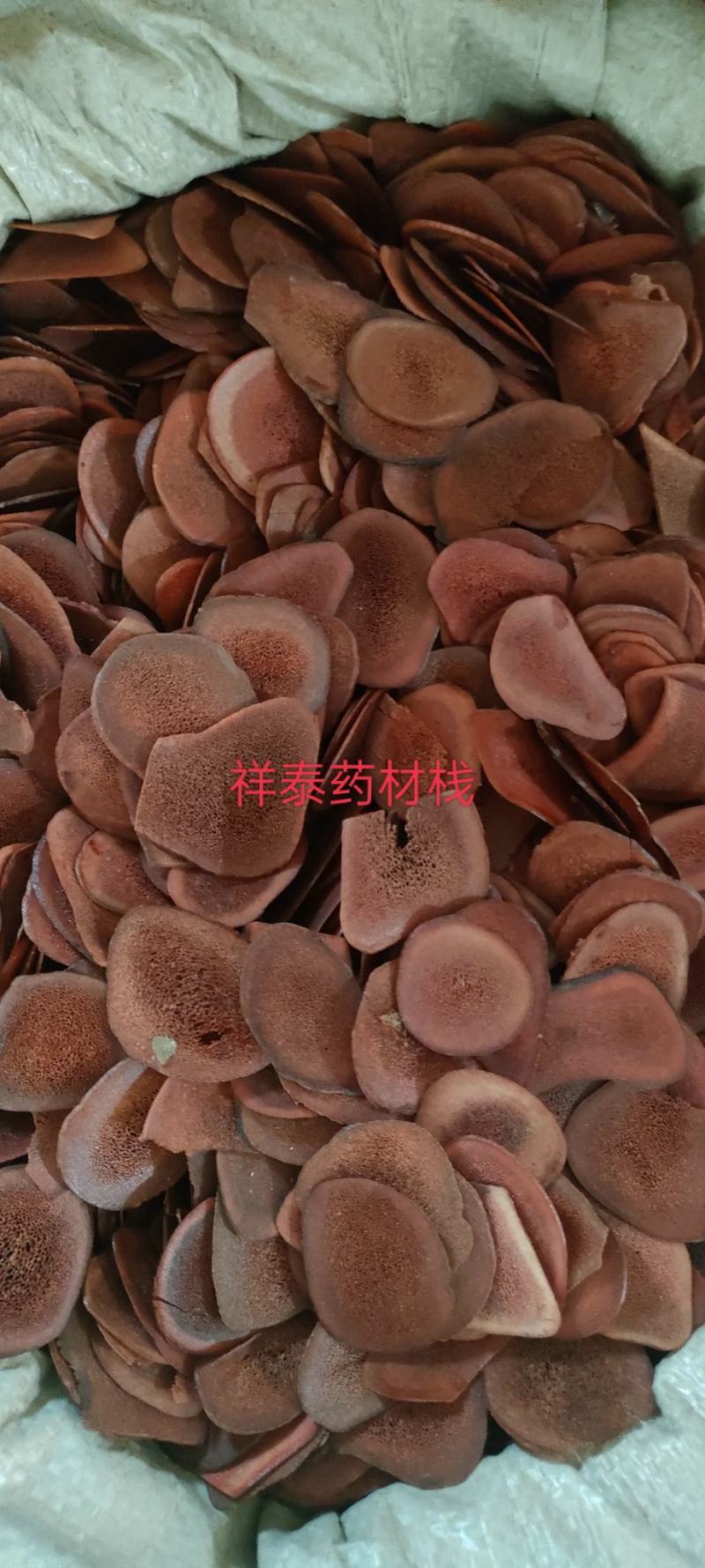 （热销）鹿角片东北正宗干血片实物拍摄地道药材祥泰药材栈