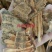 （热销）炒鳖甲醋鳖甲量大从优实体店经营祥泰药材栈中药材