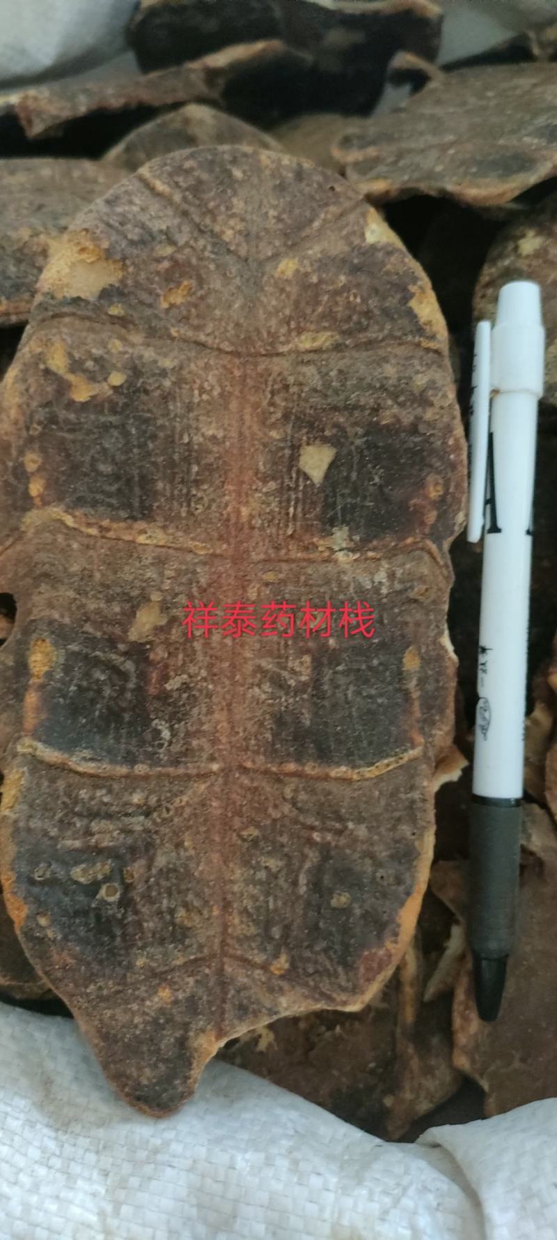 （热销）炒龟板祥泰药材栈中药材批发零售产地大货实物拍摄