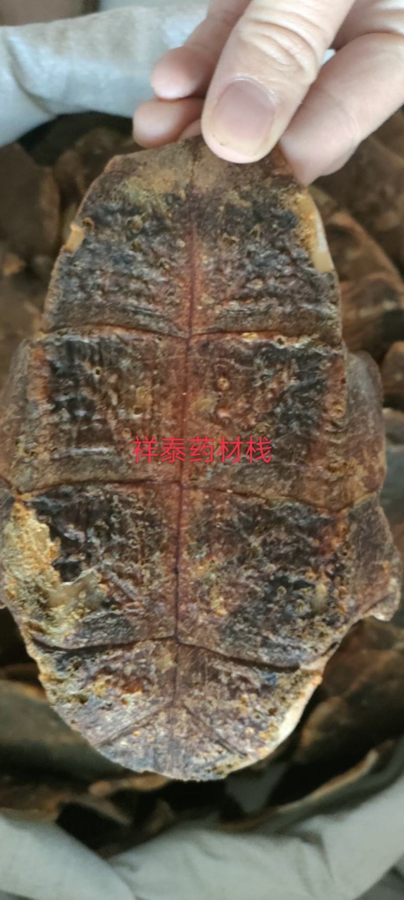 （热销）炒龟板祥泰药材栈中药材批发零售产地大货实物拍摄