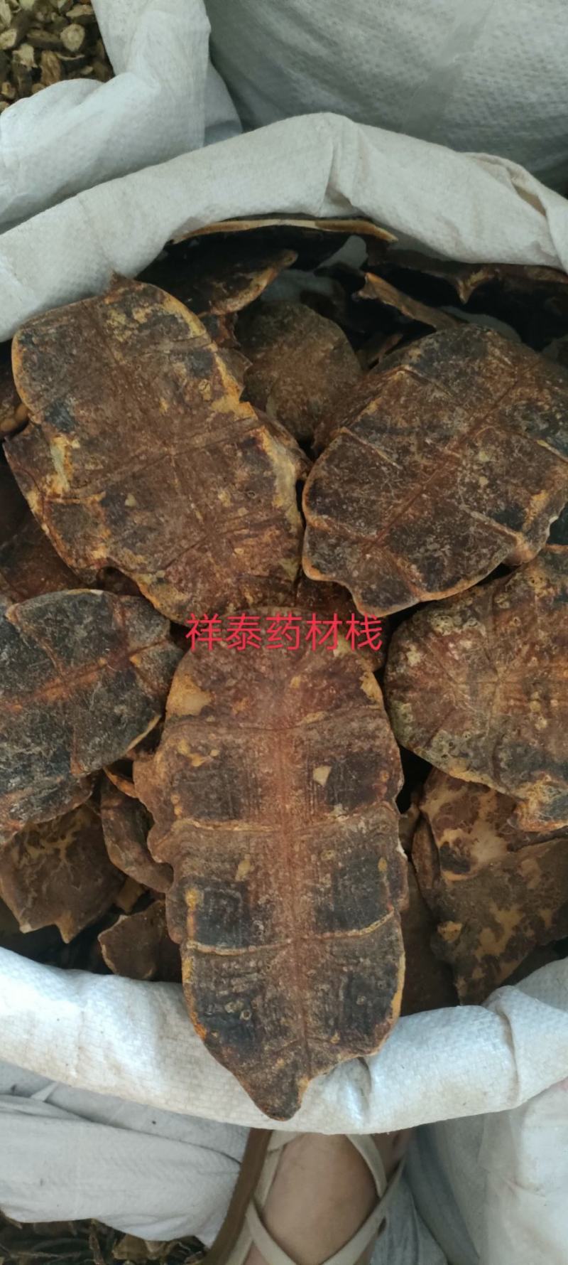 （热销）炒龟板祥泰药材栈中药材批发零售产地大货实物拍摄