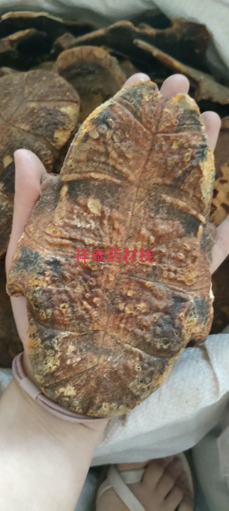 （热销）炒龟板祥泰药材栈中药材批发零售产地大货实物拍摄