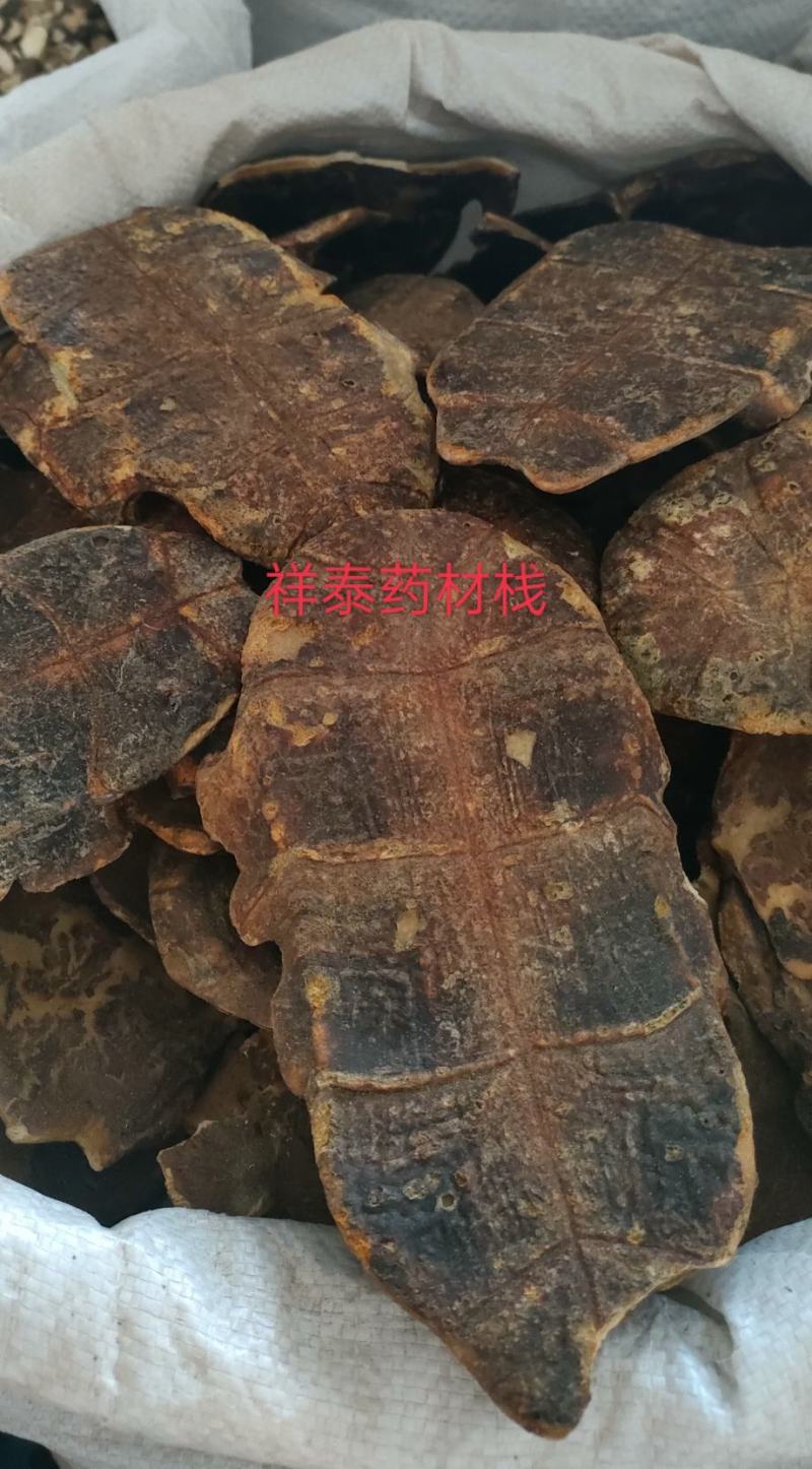 （热销）炒龟板祥泰药材栈中药材批发零售产地大货实物拍摄