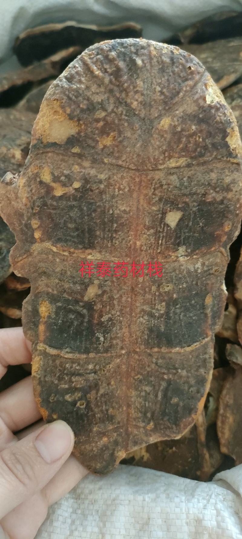 （热销）炒龟板祥泰药材栈中药材批发零售产地大货实物拍摄