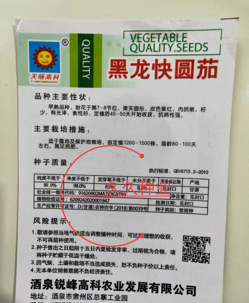 黑龙快圆茄种子特大黑紫圆茄子农家阳台盆栽春秋四季播高产