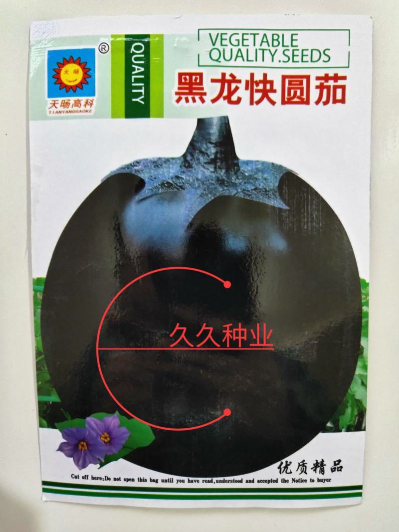 黑龙快圆茄种子特大黑紫圆茄子农家阳台盆栽春秋四季播高产