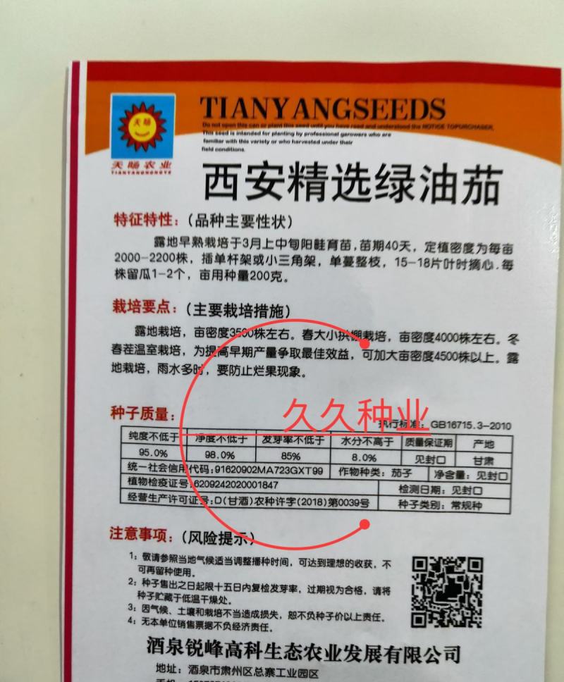 绿油茄种子茄子种籽高产四季蔬菜种子青茄子绿皮耐寒春季秋菜