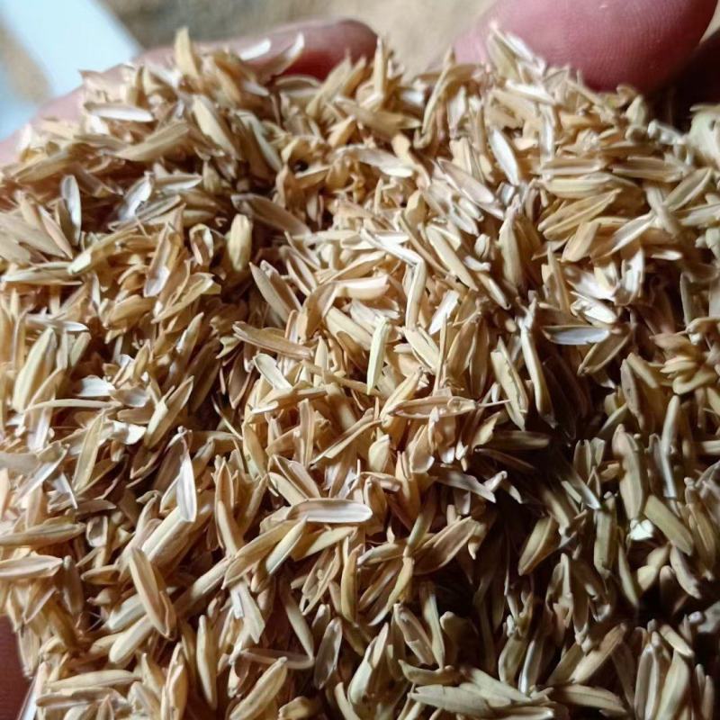 新鲜优质除尘稻壳