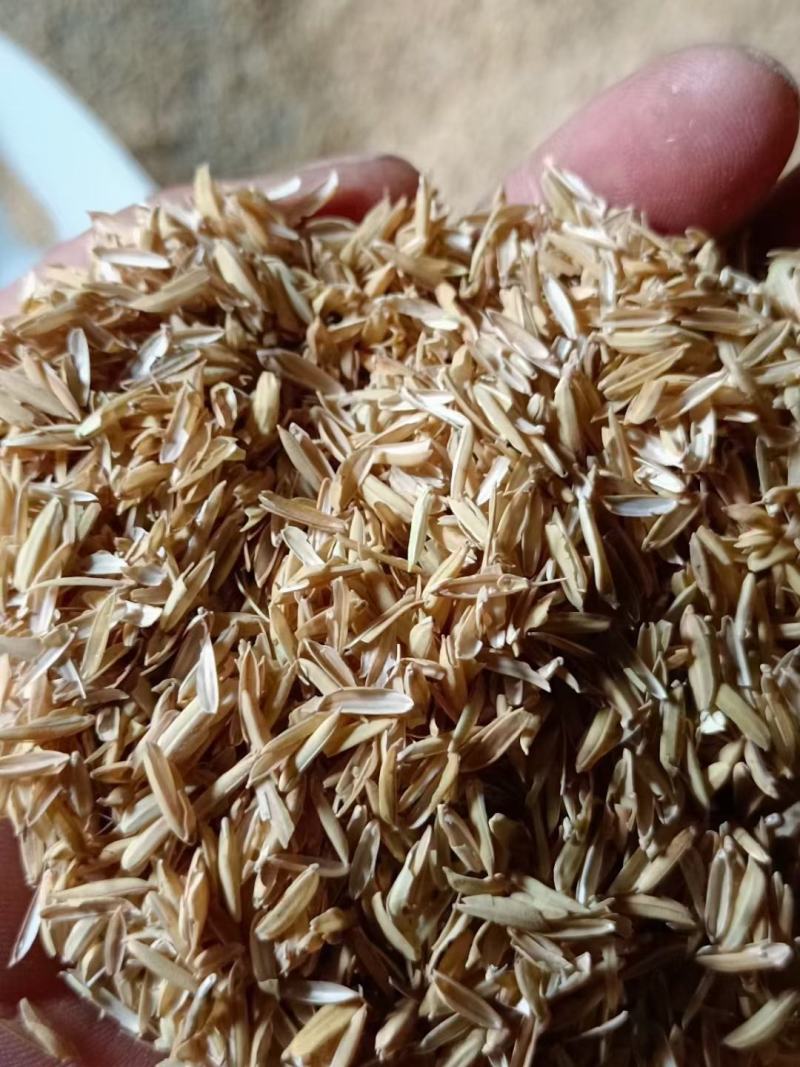 新鲜优质除尘稻壳