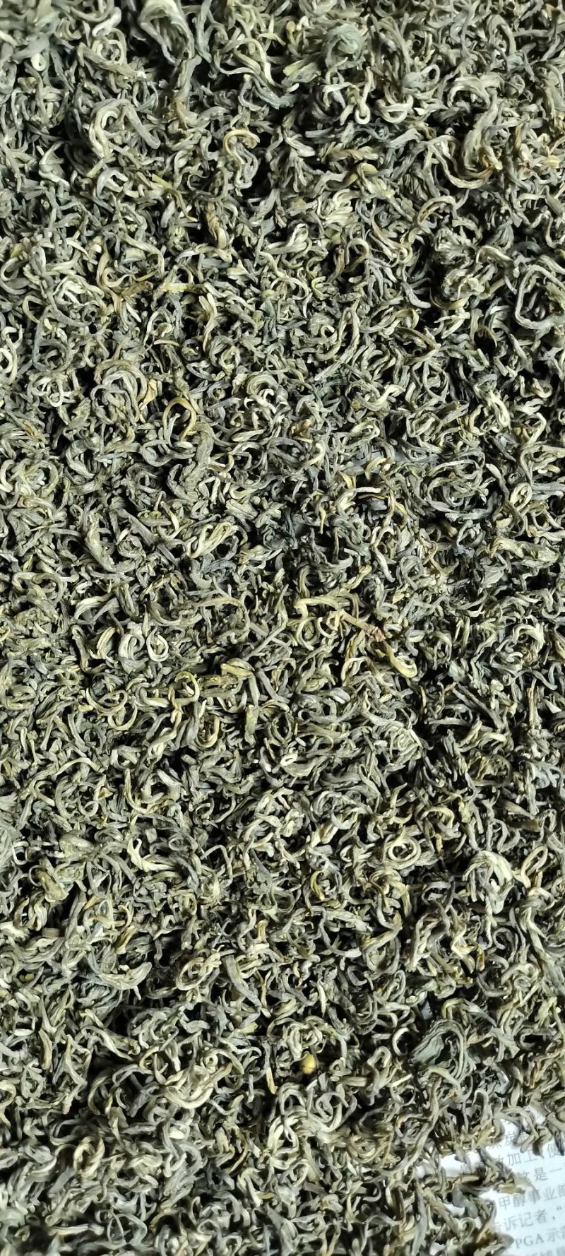 【热销中】云南精品春绿茶一手货源质量保障量大优先