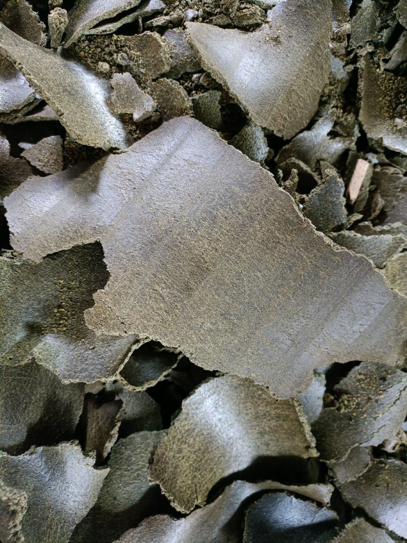 油菜籽，菜籽饼