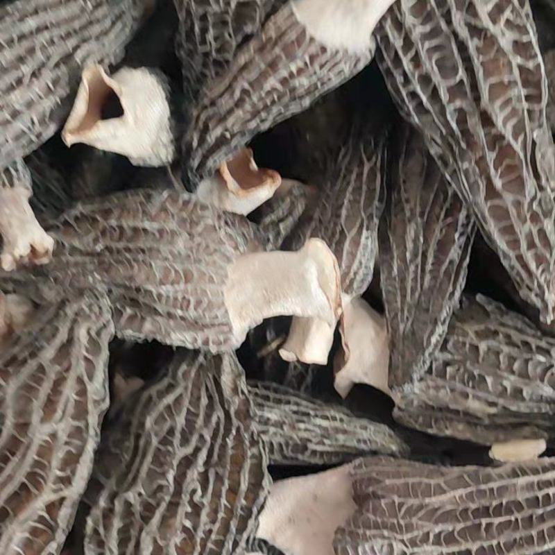 【羊肚菌】2020新货上架，羊肚菌肉厚干度质量杠杠滴