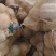 金香南瓜千亩基地直供外贸档口商超电商，欢迎采购