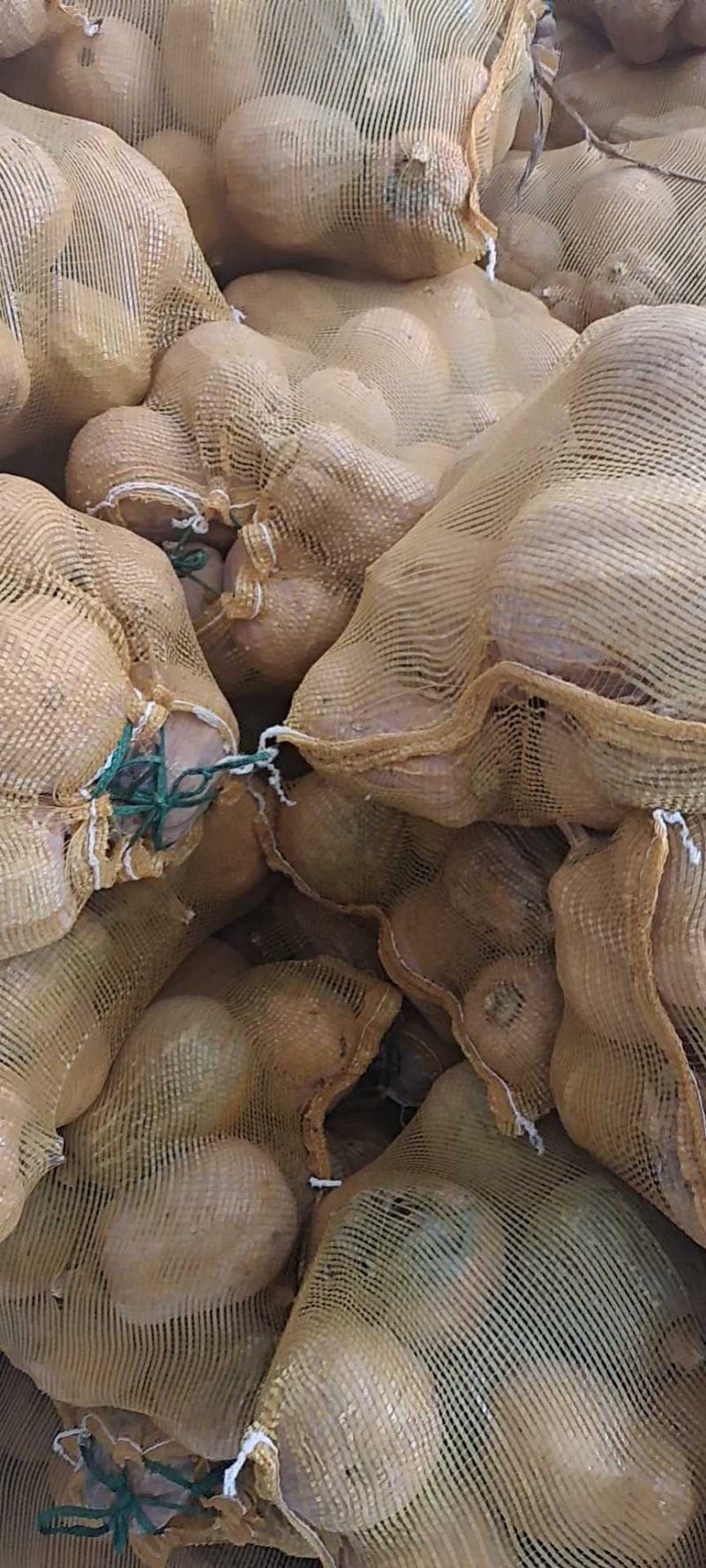 金香南瓜千亩基地直供外贸档口商超电商，欢迎采购