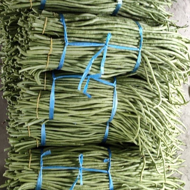 精品长豆角
