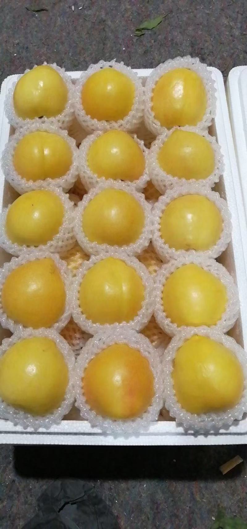 沂蒙山优质蜜桃