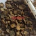 （热销）醋元胡片醋延胡索重在品质量多从优祥泰药材栈中