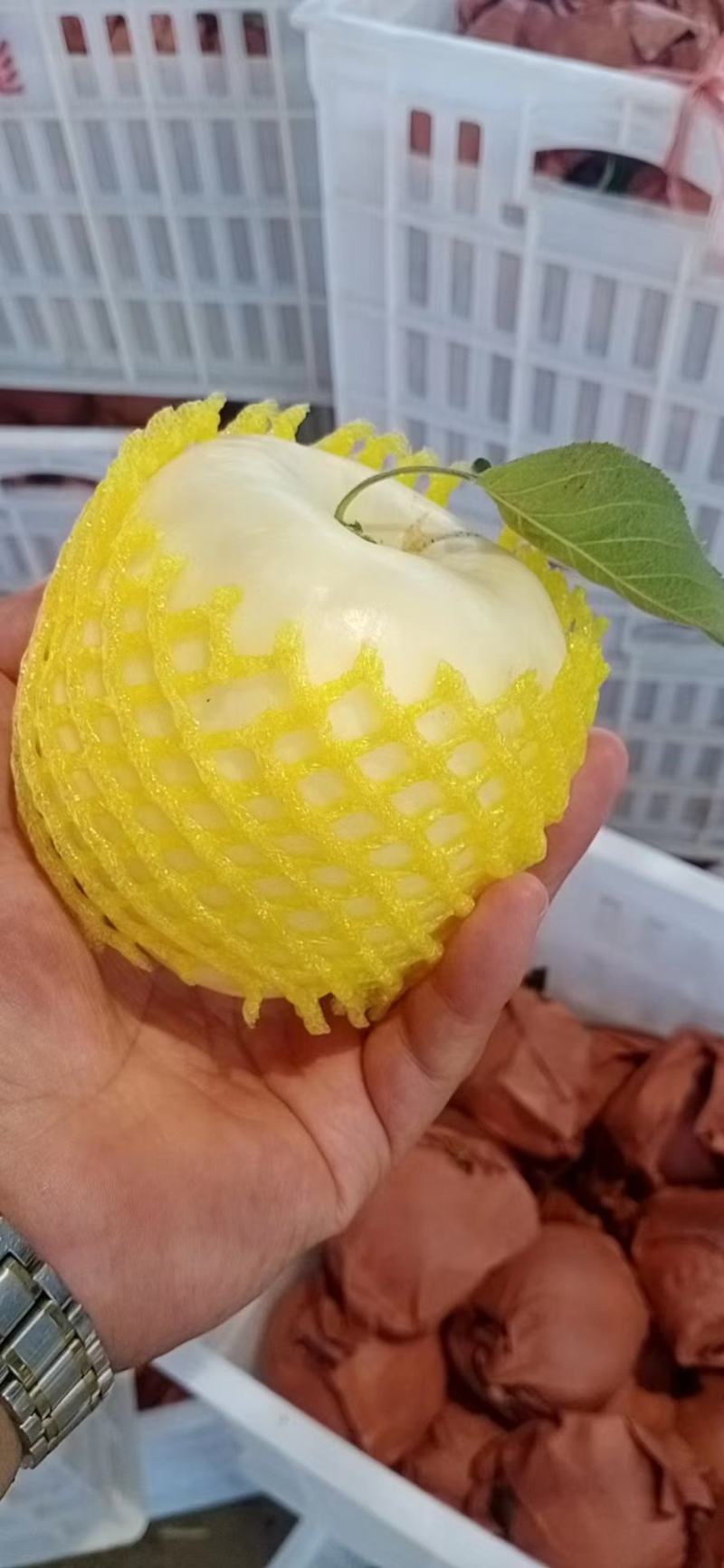 精品紙袋华硕白果