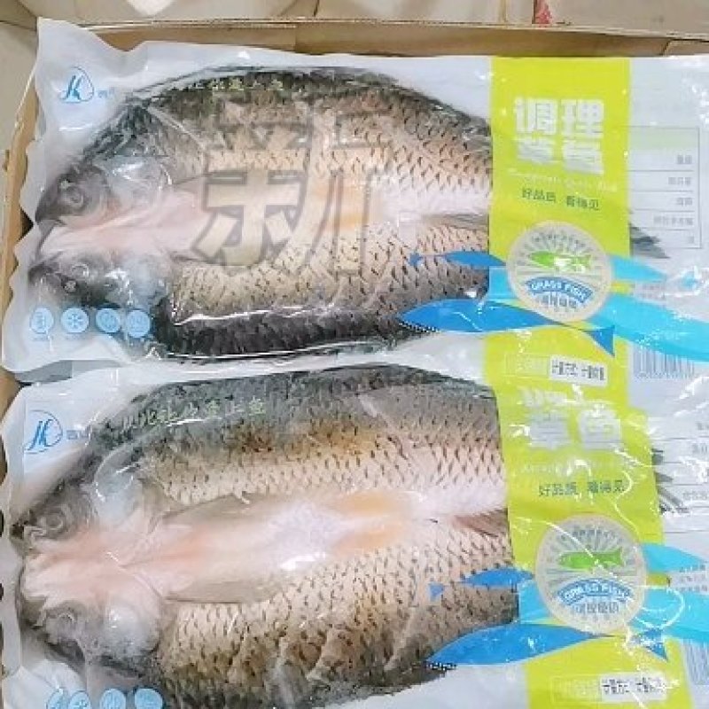 调理草鱼开背处理超低温速冻1.8-2.2斤一条新鲜包邮