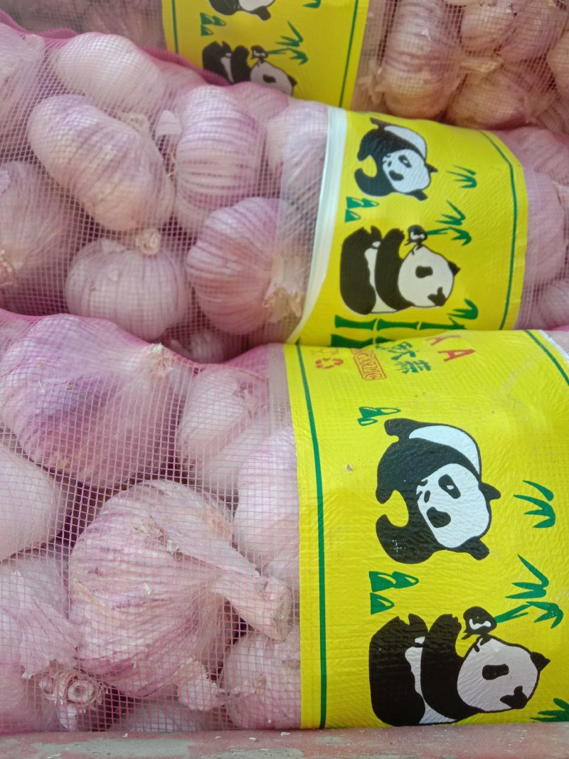 杞县优质大蒜一手货源