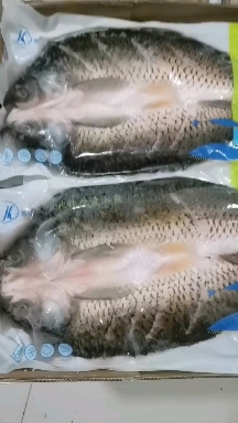 调理草鱼开背处理超低温速冻1.8-2.2斤一条新鲜包邮