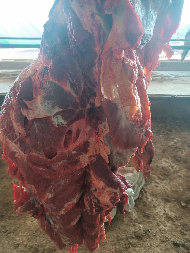 纯干鲜牛肉精修去油一手货源冷链配送。