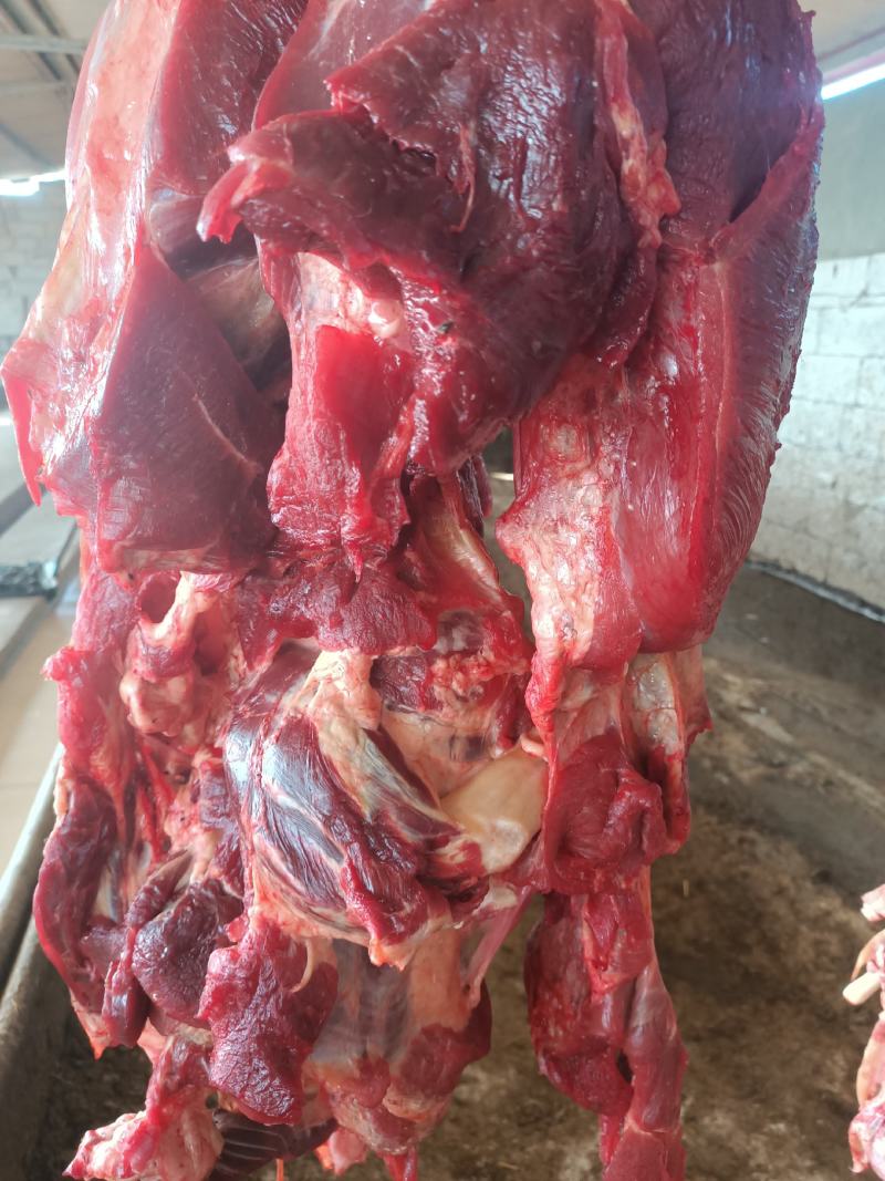 纯干鲜牛肉精修去油一手货源冷链配送。