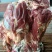 纯干鲜牛肉精修去油一手货源冷链配送。