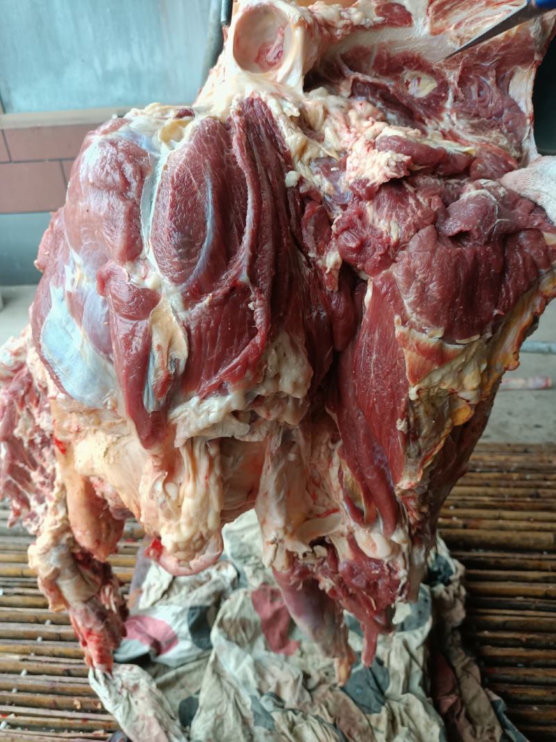 纯干鲜牛肉精修去油一手货源冷链配送。