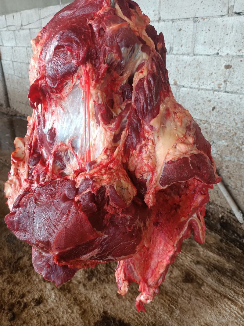 纯干鲜牛肉精修去油一手货源冷链配送。