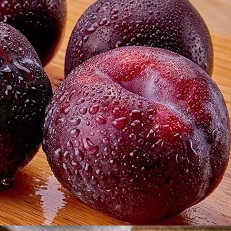 鲜果城堡黑布林李子大量上市承接各大平台
