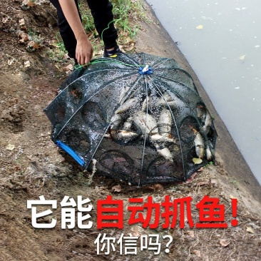 厂家直销鱼自动虾笼折叠鱼网鱼具伞网鱼网鱼虾笼网渔网捕