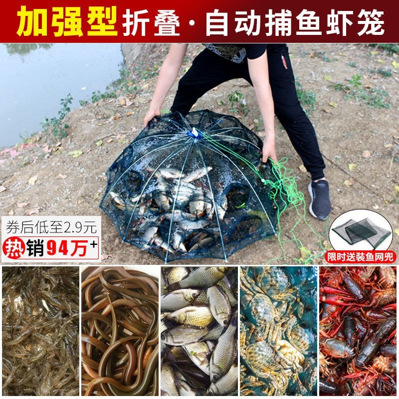 厂家直销鱼自动虾笼折叠鱼网鱼具伞网鱼网鱼虾笼网渔网捕