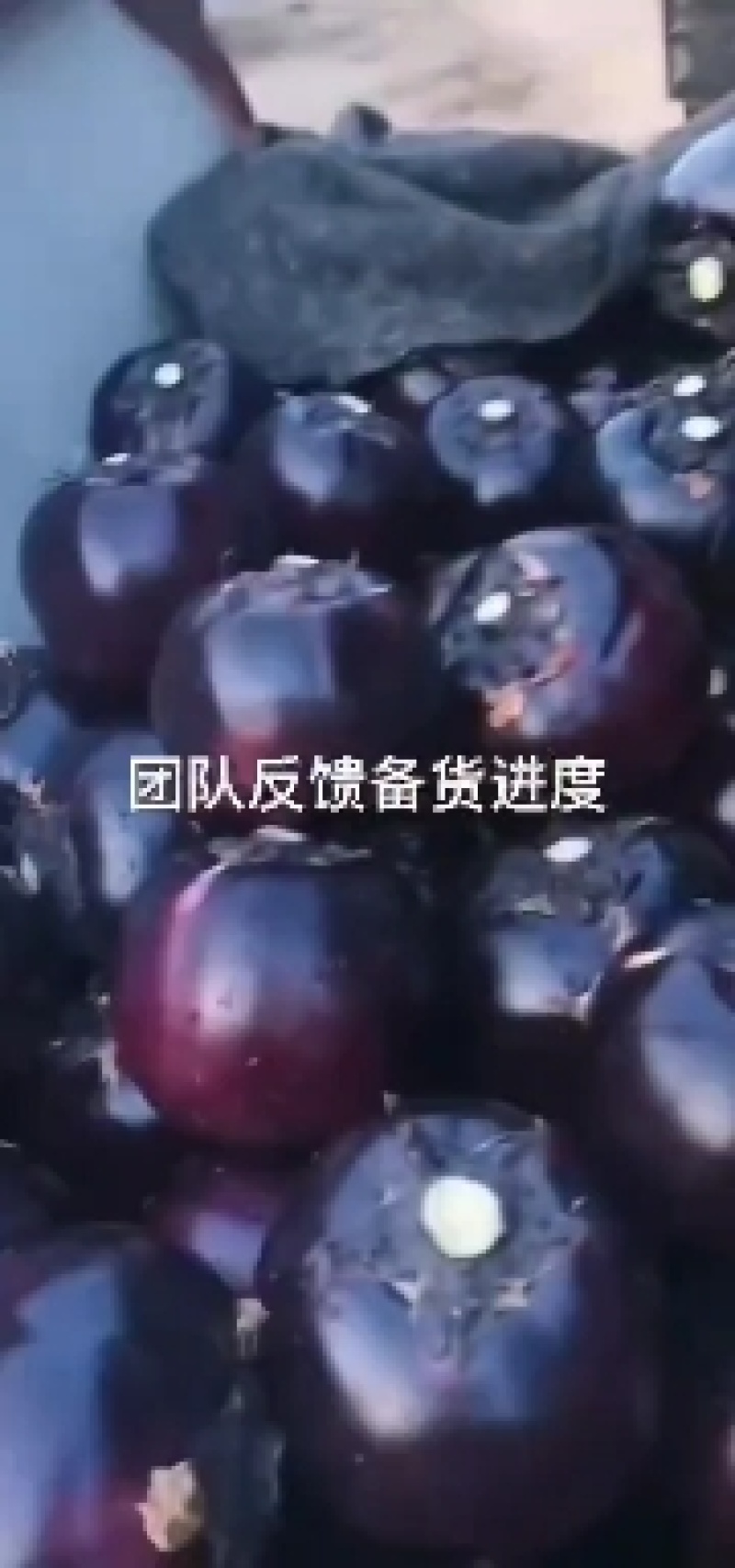 露地紫光圆茄，颜色光滑，需要的联系。本基地配有冷库