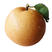 大量供应精品秋月梨，梨中的“爱马仕”，可对接电商平台