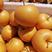 大量供应精品秋月梨，梨中的“爱马仕”，可对接电商平台