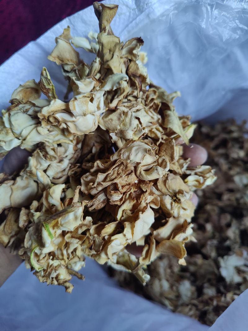 重瓣无硫自然忙哂干栀子干花