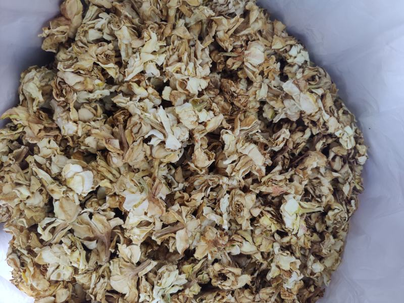 重瓣无硫自然忙哂干栀子干花