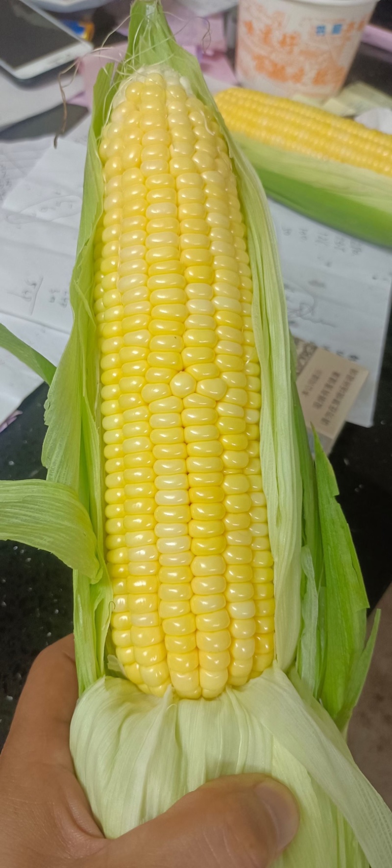 黄甜玉米太阳花