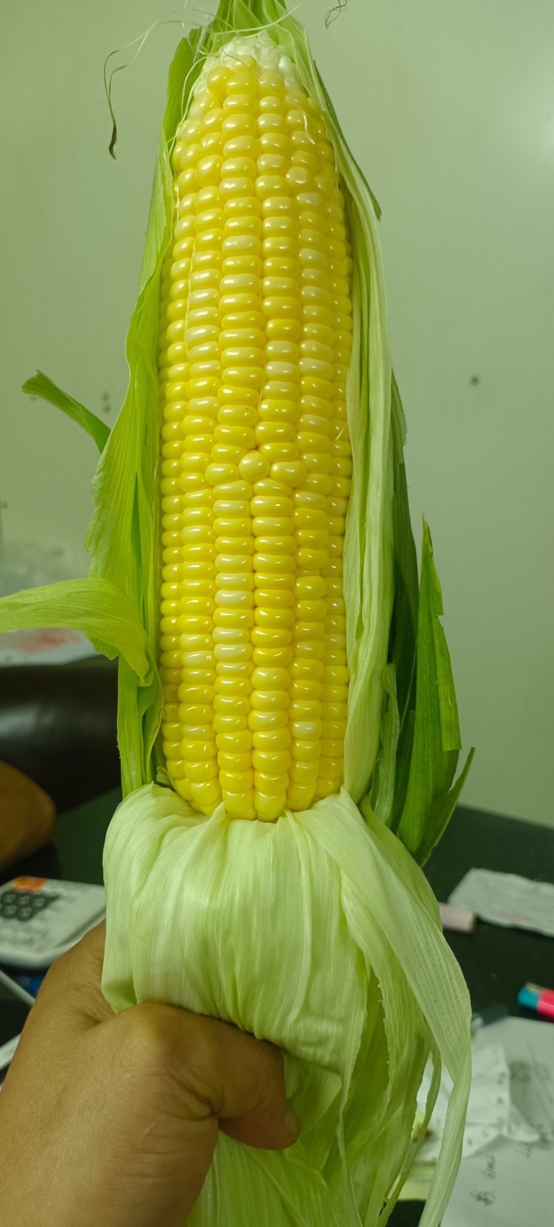 黄甜玉米太阳花